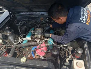 ahorro de gasolina en carburador